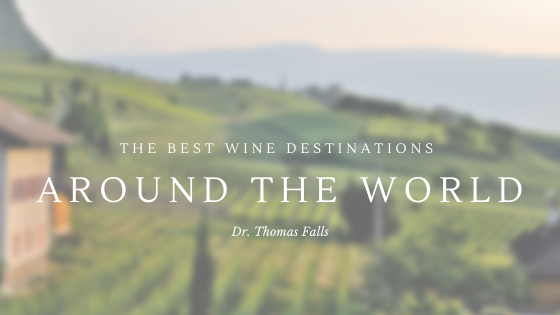 The Best Wine Destinations Around the World